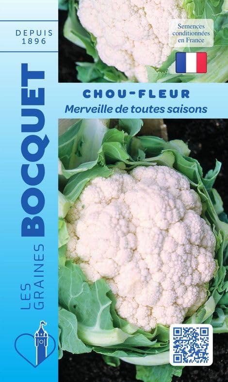 Sachet de graines de Chou fleur merveille de toutes saisons - 1 g - légume fleur - LES GRAINES BOCQUET