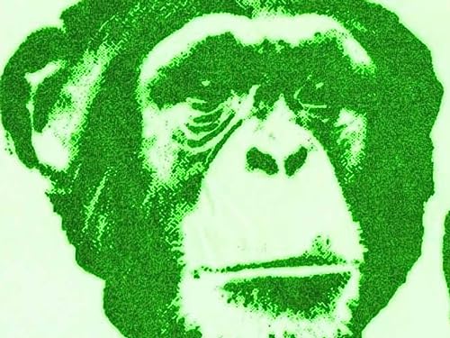 six billion monkeys