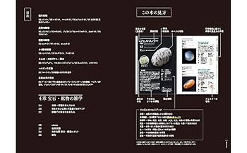 鉱物　本 Amazon.co.jp: 知りたいことがすべてわかる 宝石・鉱物図鑑