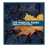  Leaden Soft Rain