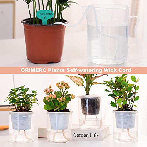 ORIMERC 30 STK 2inch(5cm) Netztöpfe Hydroponik Net Pot mit 30 Feet Selbstbewässerungsdocht & 30 STK Pflanzenetiketten Hydroponischer Becher Mesh Cup Topf Gemüse Orchidee Aquaponik Kratky Hydrokultur