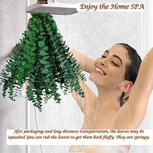 image for Glicrili 10Pcs Dried Eucalyptus Stems for Shower 17