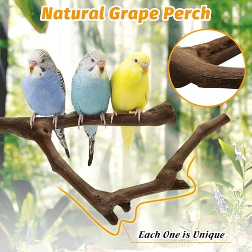 Image of kathson Natural Parrot Perch Bird Stand Pole Wild Grape Stick Paw Grinding Fork Parakeet Climbing Standing Branches Toy Chewable Cage Accessories for Small Budgies Cockatiels Lovebirds