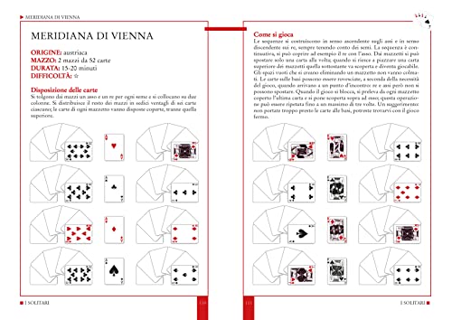 Il libro dei solitari