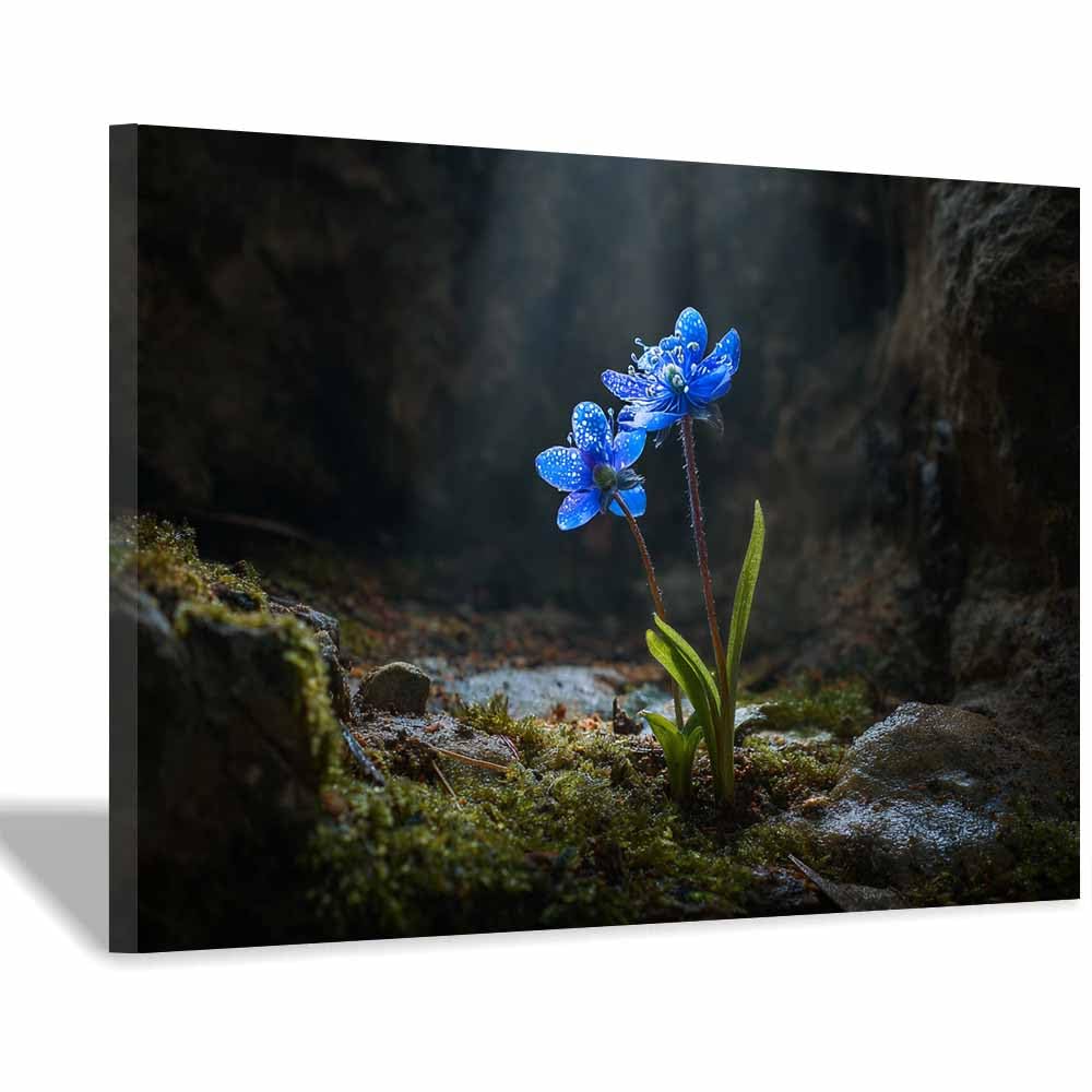 ZAMAEIU Forest Landscape Painting Blue Starflowers Canvas Artwork posters & prints Suitable for Living Room Bathroom Bedroom Home Wall Decoration(blue)-30x50cm Framed