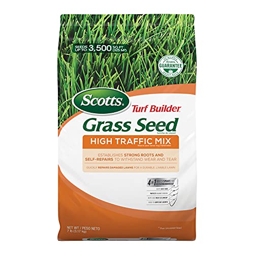 Best Grass Seed Canada Best Cost