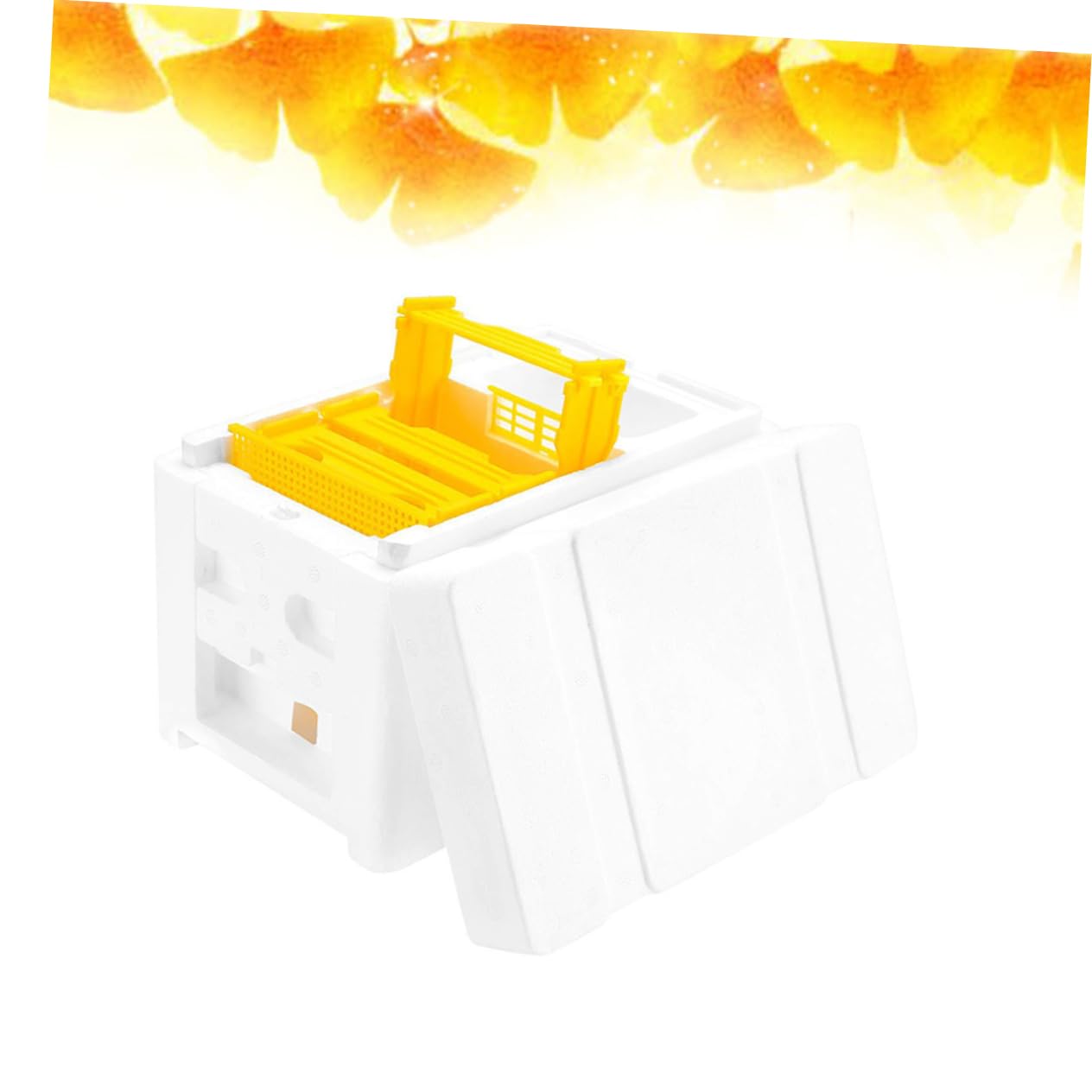 Hemobllo Bee Mating Box Per Apicoltura Strumento Pratico Per Allevamento Accessorio Per Beekeeping Flessibile e Facile Da Usare