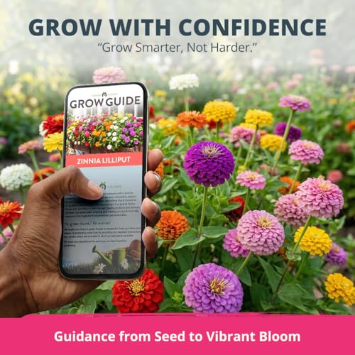 Image of HOME GROWN Zinnia Lilliput Mix Flower Seeds for Planting Spring 2026 - 2500 Seeds (2g) Zinnia elegans - Colorful Zinnia Seed Mix for Garden Beds, Containers & Cut Flowers, Easy Grow Zinnia Seeds