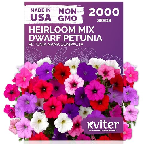 KVITER 2,000 Mix Dwarf Petunia Seeds for Planting Flowers (Nana Compacta) — Mini Petunia Flower Seeds, Annual, Organic & Non GMO — Beds, Hanging Baskets, Containers, Outdoor & Indoor Garden