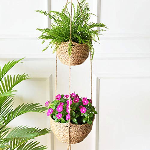 カゴでハンギングされた植物