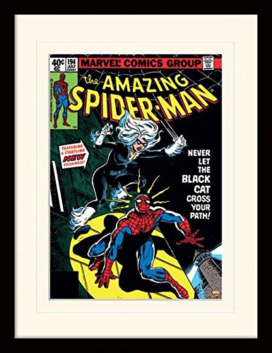 Amazon.co.jp: スパイダーマン 写真フレーム ホワイトマウント付き 30
