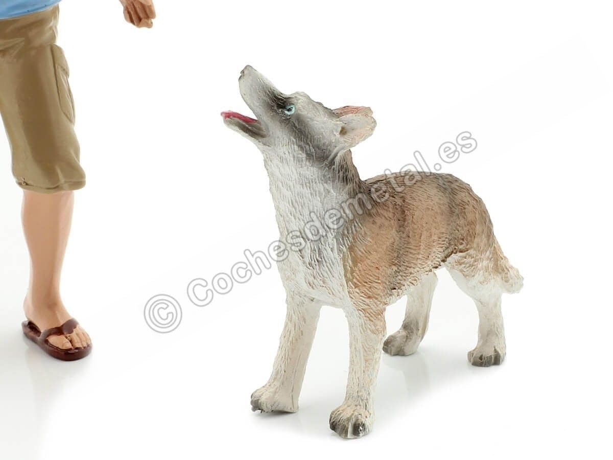 American Diorama – 23889 – Figur Mann/Hund – Maßstab 1:18 – Blau/Gelb/Grün