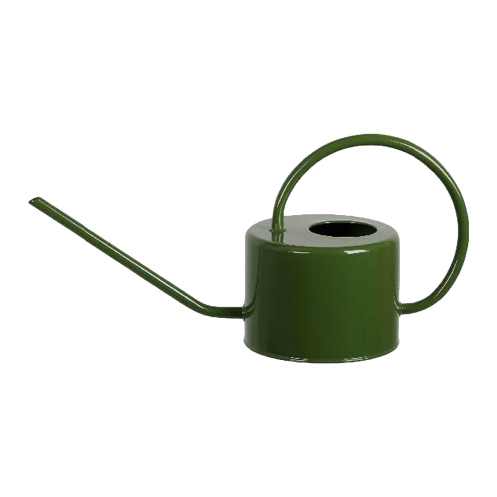 Arrosoir de jardin au design épuré : l'outil d'arrosage robuste pour végétaliser votre style