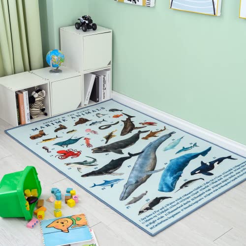 Booooom Jackson Kinder Spielteppich Marine Life Spielmatte Bildungsbereich Teppich für Spielzimmer Kindergarten Klassenzimmer Schlafzimmer Aktivitätsteppich für Jungen und Mädchen Cover