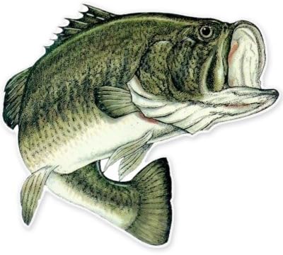 Largemouth Bass Fishing Fish Vinyl Sticker - Car Window Bumper Laptop - Select Size