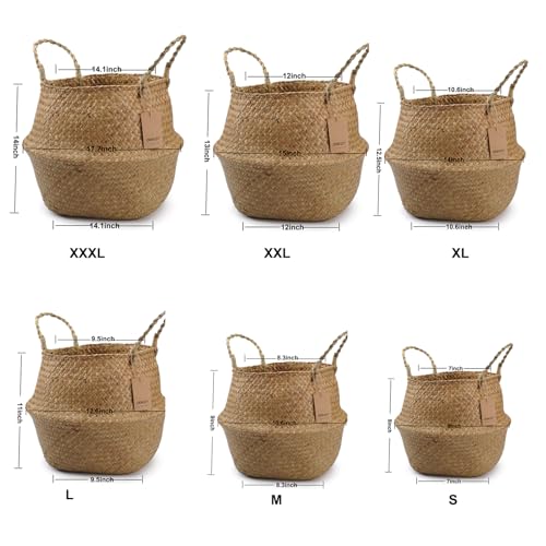 Large Woven Seagrass Belly Basket for Plant, Grocery, Picnic, 12" Diameter x 14" Height