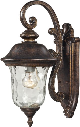 Elk 45020/1 8 by 16-Inch Lafayette 1-Light Outdoor Wall Sconce with Blown Water Glass Body, Regal Bronze Finish