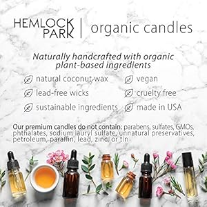 Hemlock Park Crackling Wood Wick Candle Handcrafted with Natural Coconut Wax and Essential Oils (Standard 8 oz, Palo Santo) Hemlock Park Crackling Wood Wick Candle Handcrafted with Natural Coconut Wax and Essential Oils Standard 8 oz Palo Santo