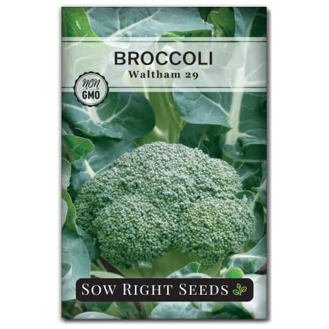 Sow Right Seeds Waltham 29 Broccoli Seeds Cover