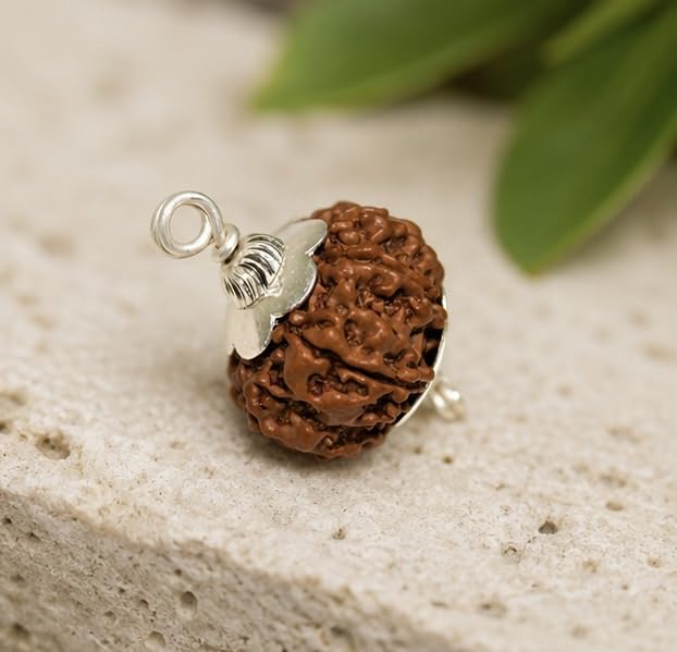 8 Mukhi Rudraksh Pendant Original Natural | Aath Mukhi Rudraksha Pendant with Cap | Certified Premium Quality for Shiv Puja, Meditation & Spiritual Practices | पूजा, ध्यान एवं आध्यात्मिक साधना के लिए 8 मुखी रुद्राक्ष पेंडेंट-picture-43