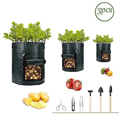 Potato-Grow-Bags,Garden Vegetable Planter with Handles&Access Flap for Vegetables,Tomato,Carrot, Onion,Fruits,Potatoes-Growing-Containers,Ventilated Plants Planting Bag(3 Pack)