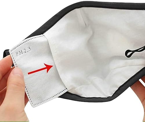 Miniatura 3 de 300 filtros de carbón activado PM2.5 enviados desde Estados Unidos, almohadillas de filtro antineblina reemplazables de 5 capas para hombres,