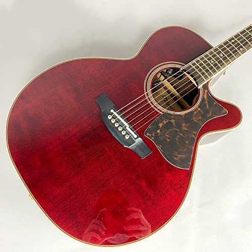 Amazon | Takamine DMP50S WR エレアコギター 島村楽器 x Takamine