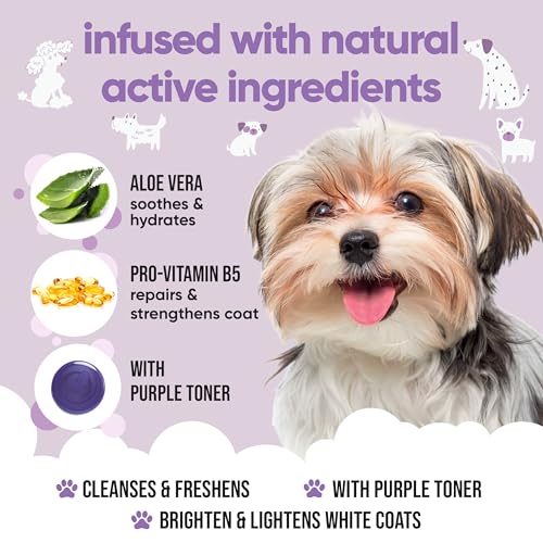 Hundeshampoo Weißes Fell von Buddycare - Aufhellendes und Aufhellendes Shampoo für Hunde - Tiefenreinigung, frisch duftend - Shampoo für weiße Hunde Mit Aloe Vera und Pro-Vitamin B5 (500ml)