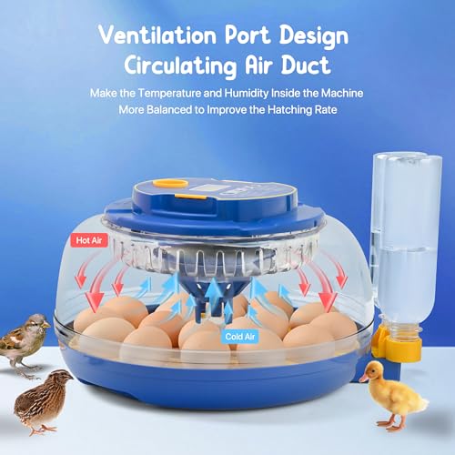 18-36 Eggs Incubators for Hatching Eggs with Automatic Egg Turning and Humidity Control, for Chicken, Duck, Quail, Goose, Parrot Eggs - 360° View for Farm, Classroom, Home Use - Image 3