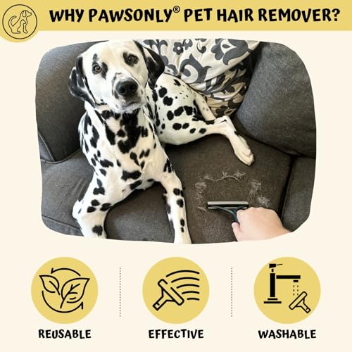PawsOnly | Tierhaarentferner | Katzenhaarentferner | Hundehaare Entfernen | Fusselentferner für Sofa Auto Teppich Kratzbaum Kleidung | Tragbarer | Fusselbürste Tierhaare Pet Hair Remover (Orange)