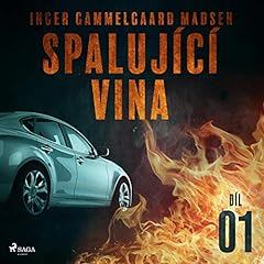Page de couverture de Spalující vina 1