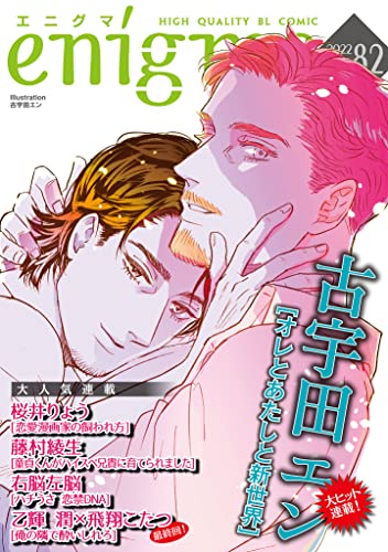 enigma vol.82