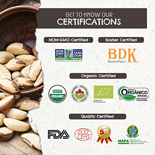 Jumbo Size - The True Organic Premium Brazil Nuts (15oz) Raw & Unsalted | Kosher | Non-Gmo | Certified Organic | Fresh | Vegan | Gluten Free | Keto and Paleo Friendly | Sustainably Harvested