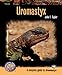 Uromastyx (Complete Herp Care)