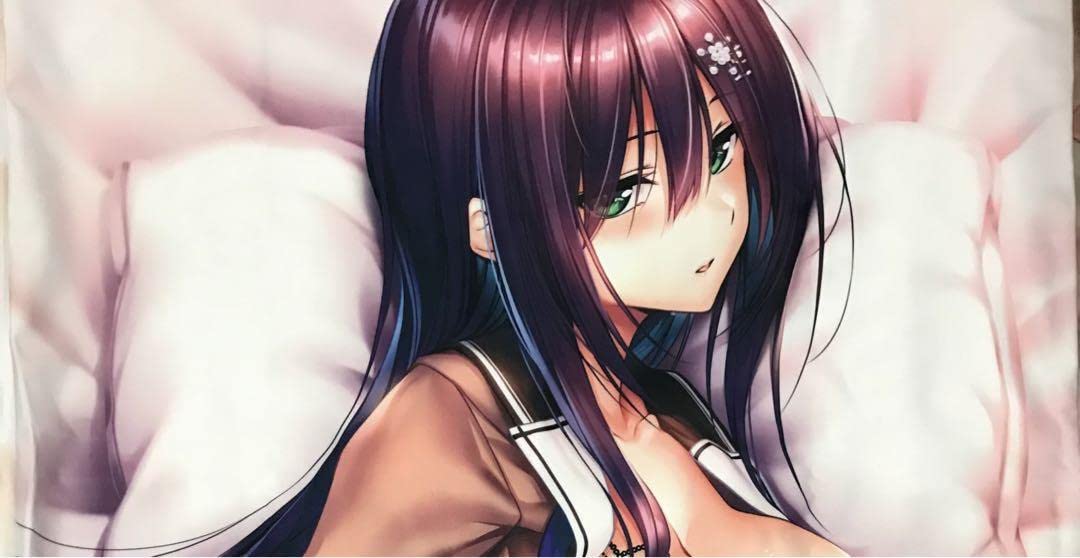 正規品　氷見山玲　抱き枕カバー(ライクトロンリッチ) アマカノ　ピロ水 Amazon.co.jp: アマカノ2 氷見山玲 抱き枕カバー あざらしそふと