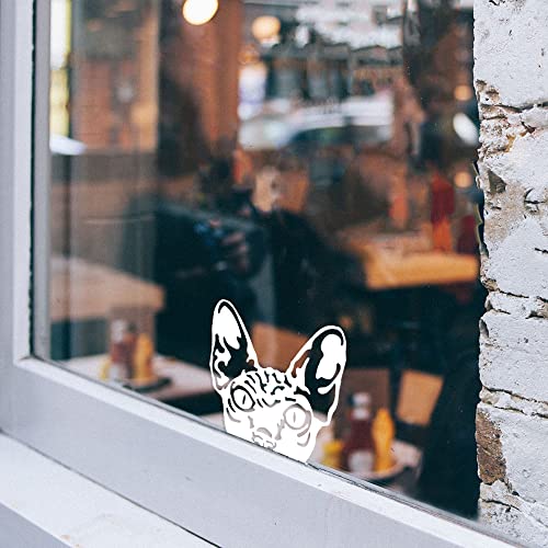Image of WIRESTER 6 inch Clear Vinyl Decal Sticker Decoration for Car Window (Or Any Flat Surface) - Wrinkled Skin Sphynx