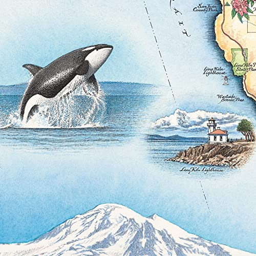 San Juan Island Map Cardboard Jigsaw Puzzle - 1000 Pieces, Hand-Illustrated - Educational, Family Activity, Ages 7+, Includes Poster - 25.4 X 19.8 #TOP2