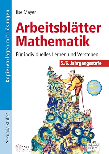 Arbeitsblätter Mathematik 5./6. Klasse: Für individuelles Lernen und Verstehen