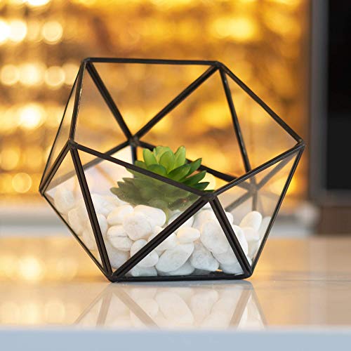 Half Ball Glass Terrarium | M&W - Afbeelding 5