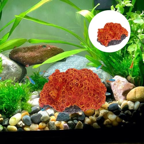 Image of Balacoo Aquarium Coral Reef Ornament 5.11 x 3.93 x 2.75In | Resin landscape, Fresh and saltwater tanks, Aquarium setup