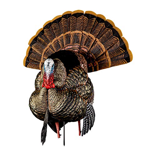 AvianX HDR Strutter Turkey Decoy, Multi The Turkey Call Store