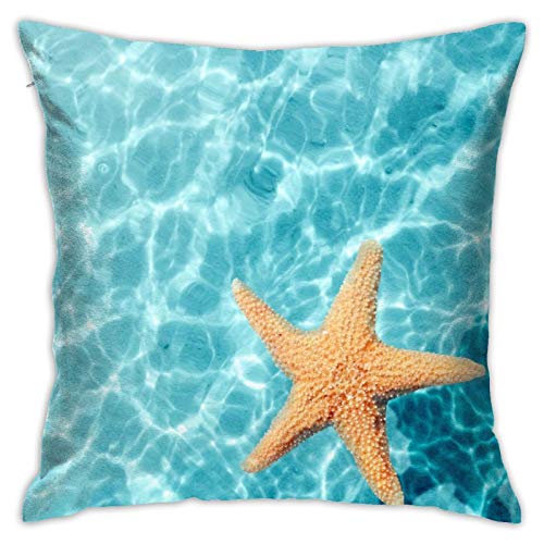 DADABULIU NbVJo[ 45×45cm Jo[ C C    _炩 킢  \t@w G ƒp ItBX zep ԗp zcJo[ CeA