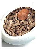 Large Black Soldier Fly Larvae(Organic) 500