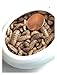 Large Black Soldier Fly Larvae(Organic) 500