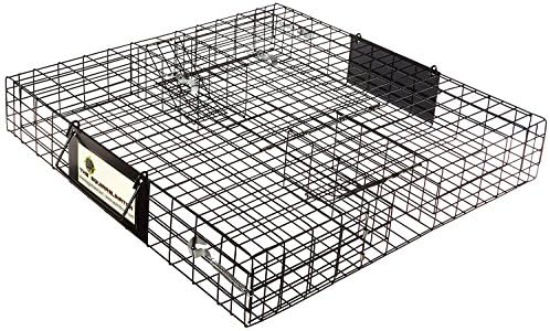 Rugged Ranch Products 100063928 Squirrelinator Trap (3 Units)