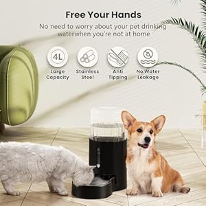   CZPET-Automatic-4L1GAL135OZ-Dog-and-Cat-Water-Dispenser-with-Stainless-Steel-Bowl-Gravity-Waterer100-BPA-FreeLarge-Capacity-and-Drinking-Area-Noise-Free-for-Pets