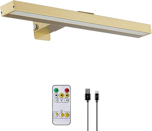 Luces de imagen recargables con control remoto, lámpara de exhibición de luz de pintura a pilas de 16 pulgadas con 3 modos de iluminación, luz de