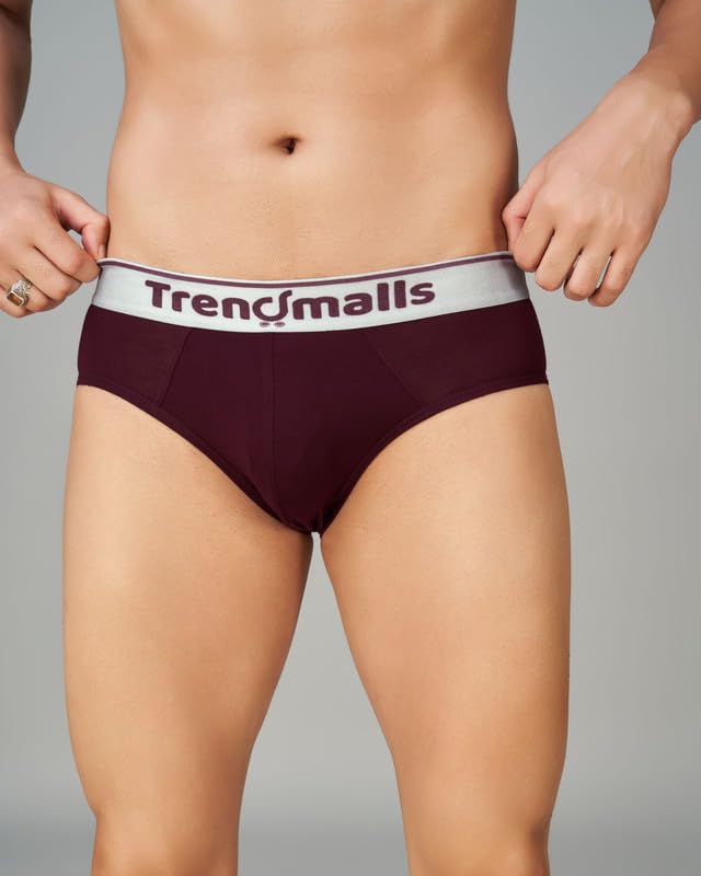 Image of TRENDMALLS Men's Birla Micromodal Regular Fit Solid Men Underwear Briefs with No Marks Waistband