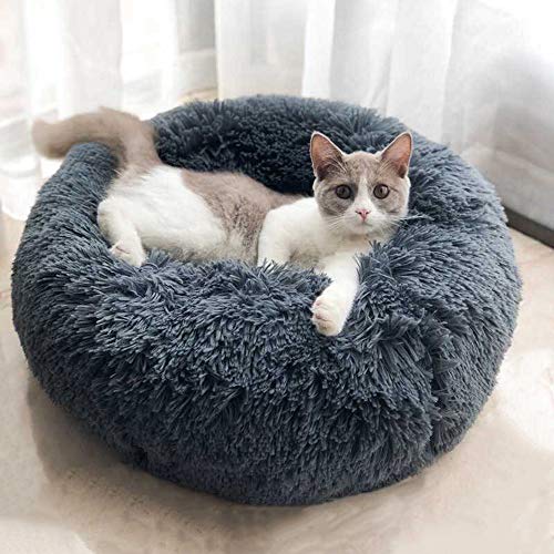 WonderKathy Modern Soft Plush Round Pet Bed for Cats or Small Dogs, Mini Medium Sized Dog Cat Bed Self Warming Autumn Winter Indoor Snooze Sleeping Cozy Kitty Teddy Kennel (M(23.6”Dx7.9"H), Dark Grey)