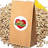 Bite & Delight 25kg Kanariensaat Kanarienhirse Reines Saatgut für Vögel, Papageien Kanarienvögel Kanarienfutter Vogel-Samen Canary Seed